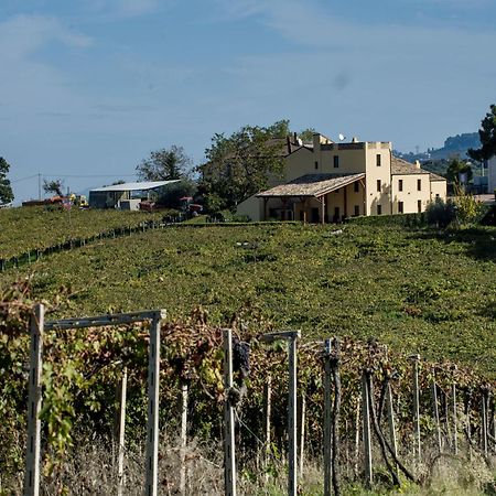Masseria Del Vino Loreto Aprutino Exteriér fotografie