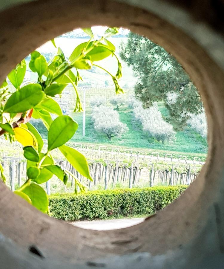 Masseria Del Vino Loreto Aprutino Exteriér fotografie