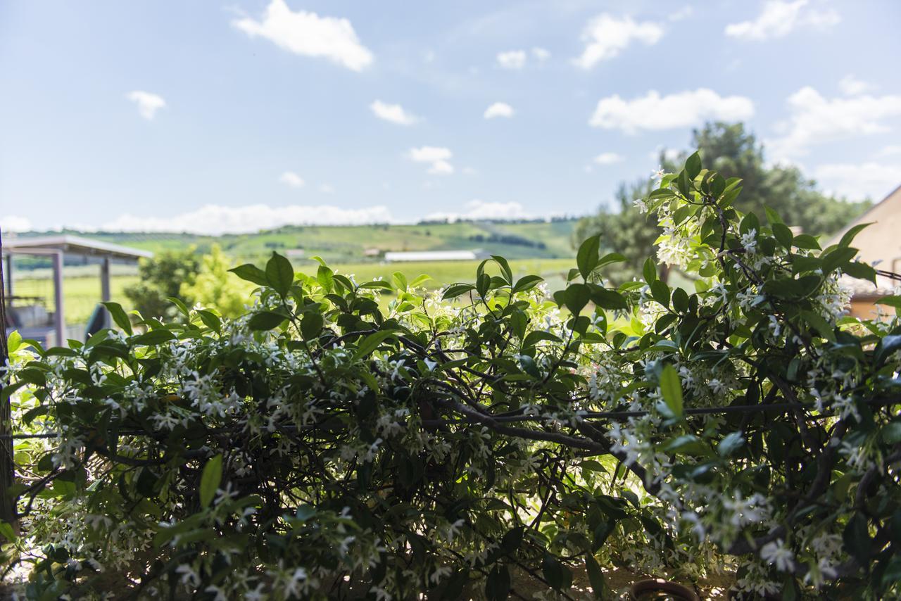 Masseria Del Vino Loreto Aprutino Exteriér fotografie